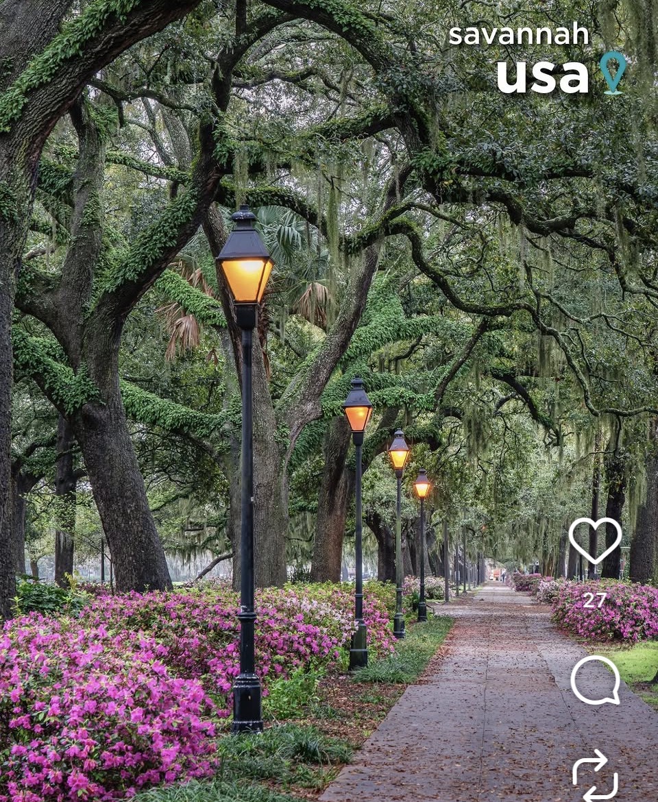 Forsyth Park lamp-lined path