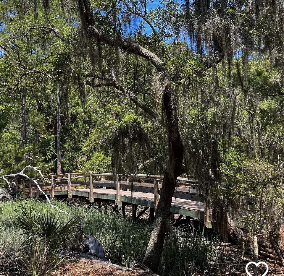 Wormsloe boardwalk trail